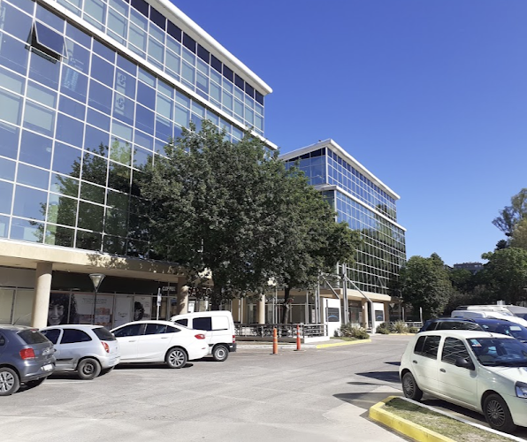 Grupo SYS — Importador